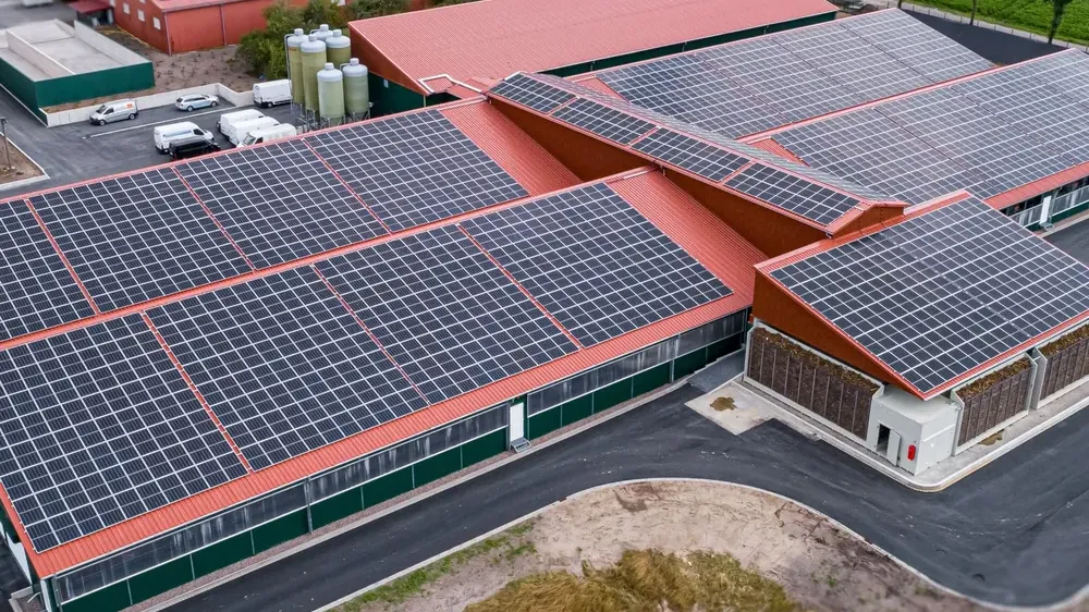 solar panels on barns