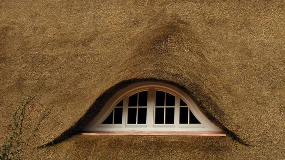 thatched roof with dormer